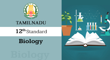 12th Standard English Medium Biology