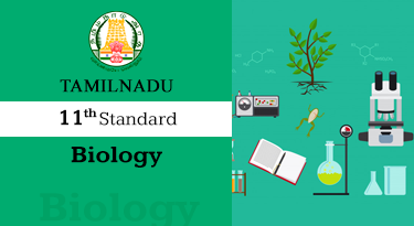 11th Standard English Medium Biology