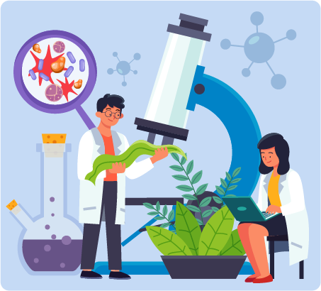 12th Standard Botany